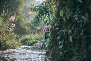 BIB: 
                            <button type="button" onclick="openModal(13716913)" class="btn btn-primary btn-sm float-right btn-popup" data-toggle="modal" data-target=".modal-high-quality">
                        <i class="fas fa-shopping-cart"></i> Add to Cart
                    </button>
                                            <button type="button" onclick="isThisMe(13716913, true)" class="btn btn-success btn-sm float-right btn-popup btn-isme hidden" data-toggle="tooltip" data-placement="bottom" title="นี่คือรูปของคุณใช่ไหม คลิกที่นี่เพื่อเอาเข้าอัลบั้ม">
                        <i class="fas fa-plus"></i> Add to album
                    </button>
                    <button type="button" onclick="isThisMe(13716913, false)" class="btn btn-warning btn-sm float-right btn-popup btn-isnotme hidden">
                        <i class="fas fa-ban"></i> Remove from album
                    </button>